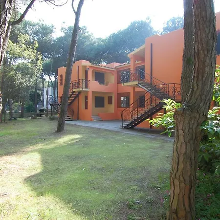 5 Apartment